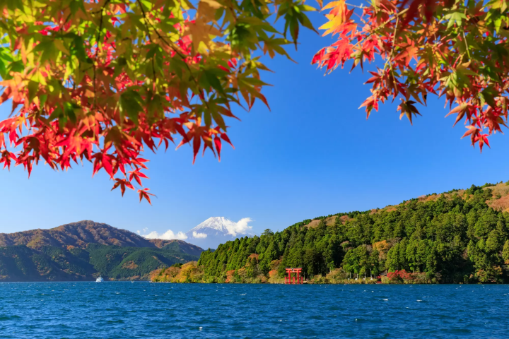 15 Spectacular Fall Foliage Spots in Greater Tokyo