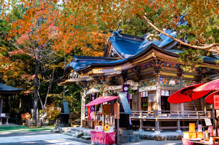 15 Spectacular Fall Foliage Spots in Greater Tokyo