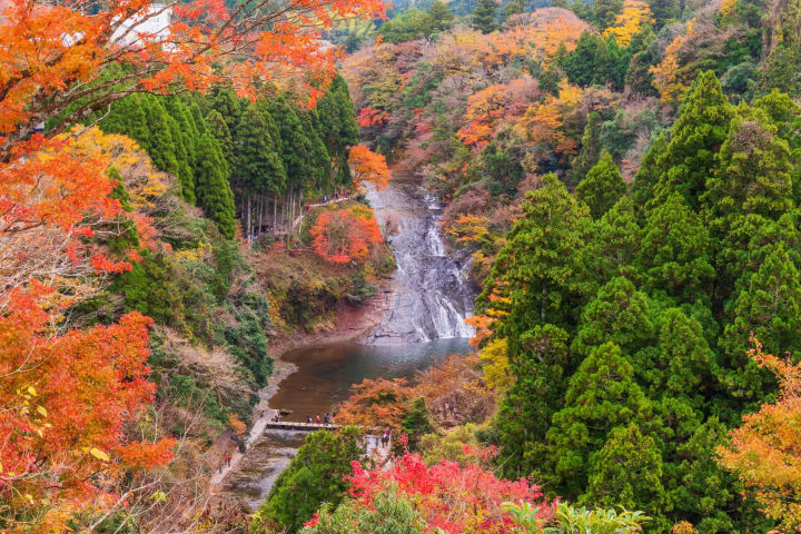 15 Spectacular Fall Foliage Spots in Greater Tokyo