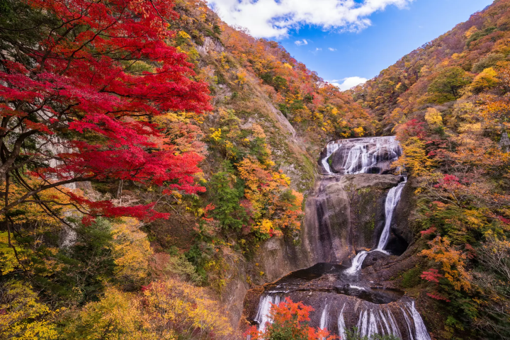 15 Spectacular Fall Foliage Spots in Greater Tokyo