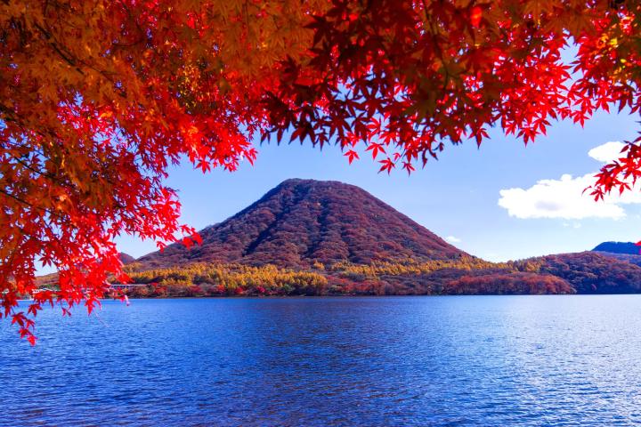 15 Spectacular Fall Foliage Spots in Greater Tokyo
