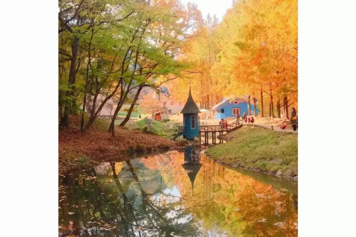 15 Spectacular Fall Foliage Spots in Greater Tokyo