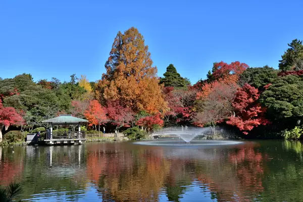 [Ishikawa/Toyama/Fukui] Autumn foliage spots in Toyama Prefecture | 2023 edition