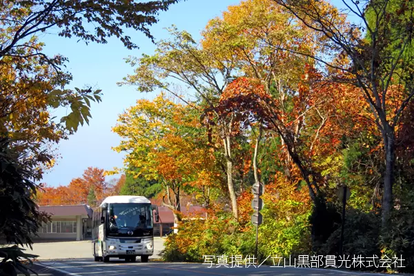 [Ishikawa/Toyama/Fukui] Autumn foliage spots in Toyama Prefecture | 2023 edition