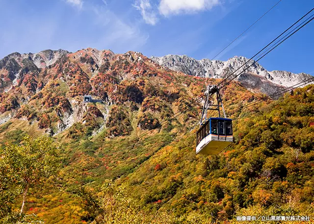 [Ishikawa/Toyama/Fukui] Autumn foliage spots in Toyama Prefecture | 2023 edition