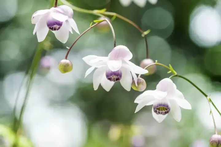 25 Things To Do In Tokyo For Free