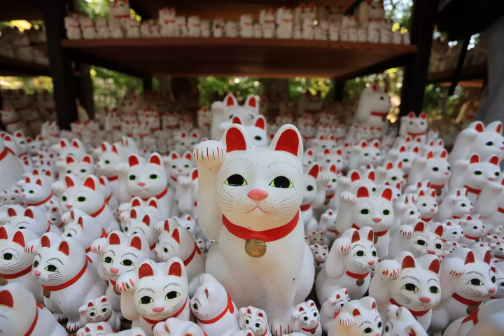 25 Things To Do In Tokyo For Free