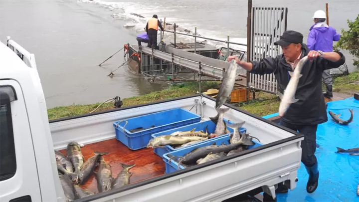 [截至 2024 年 12 月 31 日] 仅当季！在“村上原味丼节”品尝村上的名产原味丼！