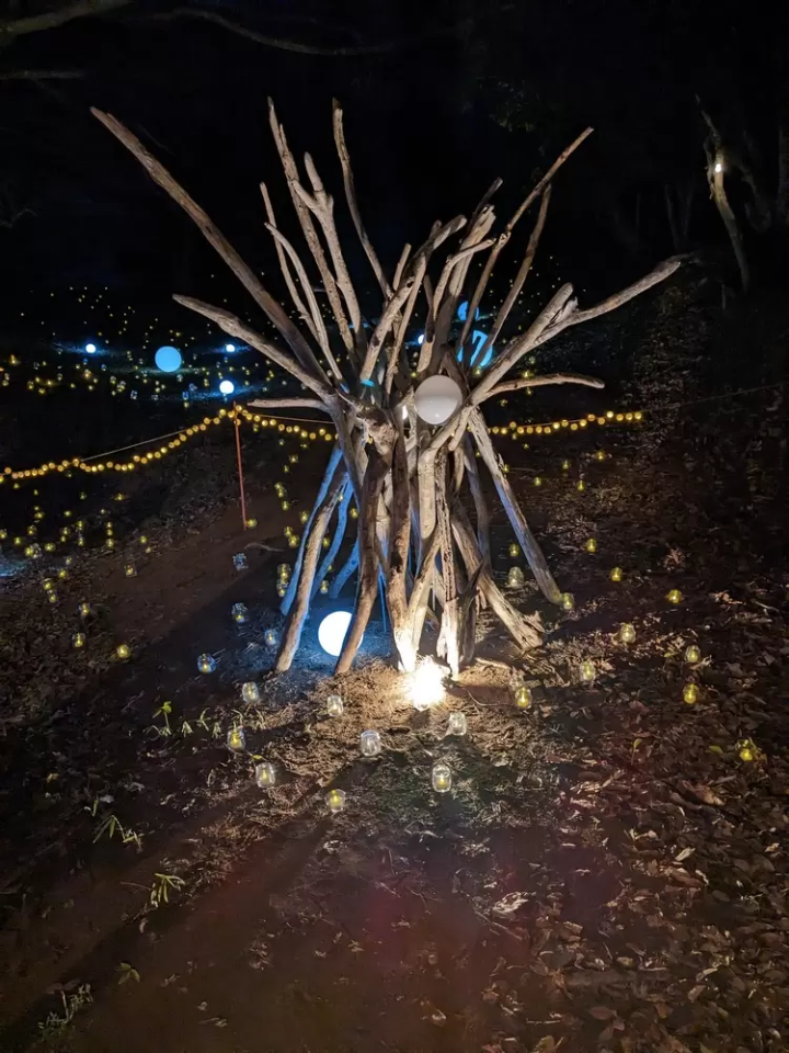 【無事に終了しました】【茨城】大洗磯浜古墳群ライトアップイベント「うみまち照らす」