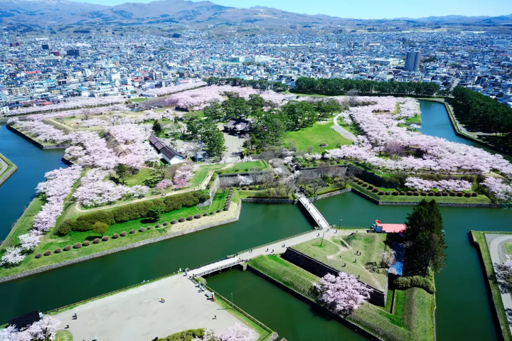 ญี่ปุ่นตอนเหนือกับญี่ปุ่นตอนใต้