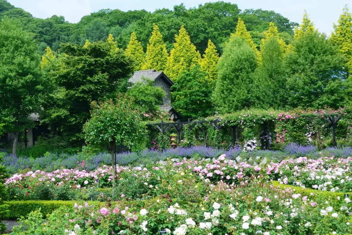 Karuizawa: 10 Must-Visit Places in the Famous Resort Near Tokyo