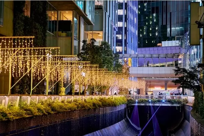 澀谷100%導覽!暢遊澀谷與奧澀谷的28個人氣景點