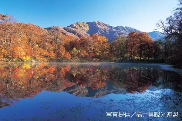 【石川/富山/福井】福井縣的紅葉景點｜2023年版