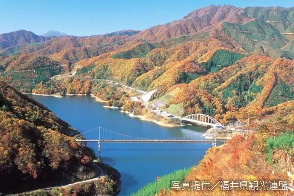 【石川/富山/福井】福井縣的紅葉景點｜2023年版