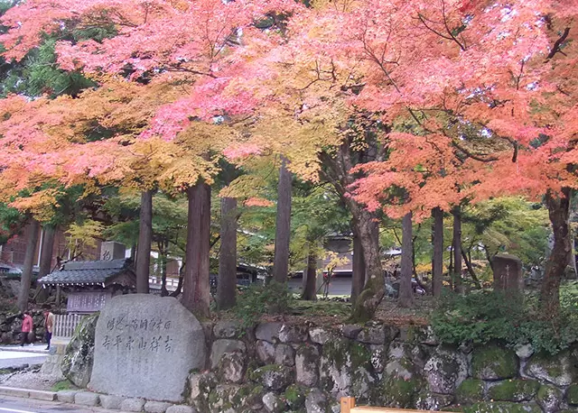 【石川/富山/福井】福井縣的紅葉景點｜2023年版