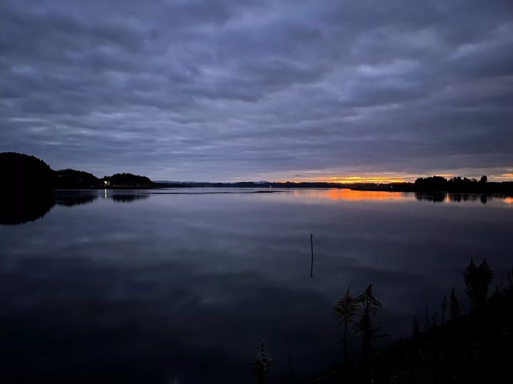 Girls' trip - White-fronted geese take off in Izunuma and Uchinuma -