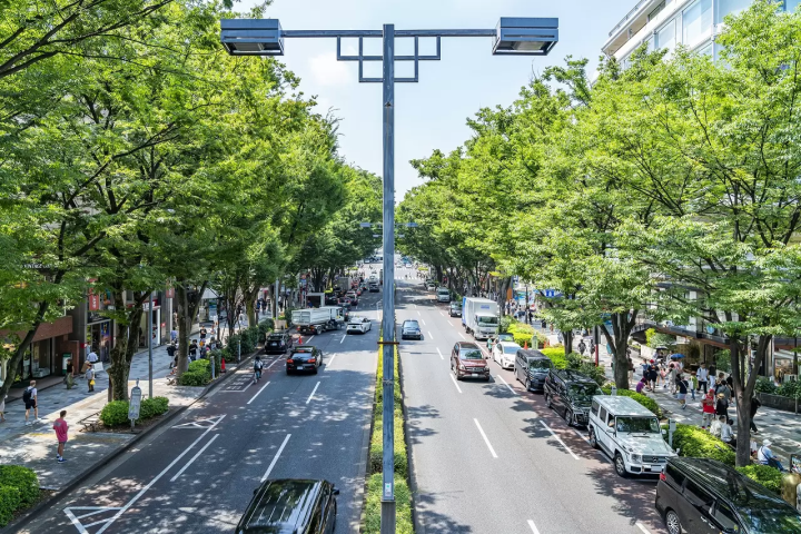 Explore Tokyo's Art Scene: 5 Galleries in Aoyama, Omotesando, and Harajuku