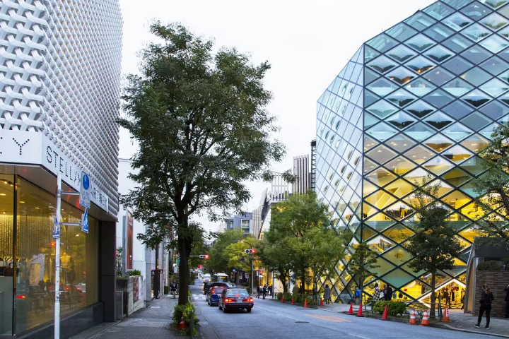 Explore Tokyo's Art Scene: 5 Galleries in Aoyama, Omotesando, and Harajuku