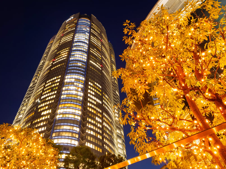 冬の夜をきらびやかに彩る、東京のイルミネーション12選【2023~2024年版】