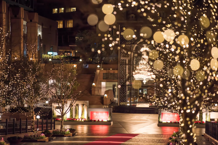 冬の夜をきらびやかに彩る、東京のイルミネーション12選【2023~2024年版】