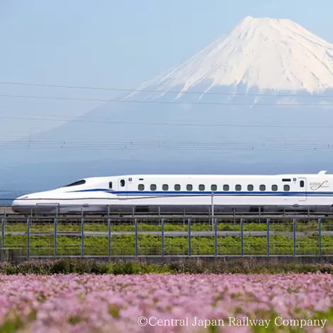 【全旅行者必見！】日本語を話せない人が日本観光を楽しむために知っておくべきこと