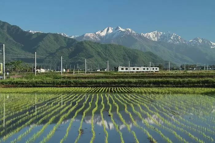 If you want to go to Kurobe Dam, is it faster to go from Omachi City, Nagano Prefecture? Includes transfer information!
