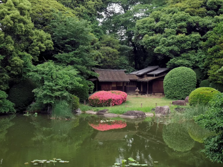 Ueno - Travel Guide And Top 15 Places To Visit