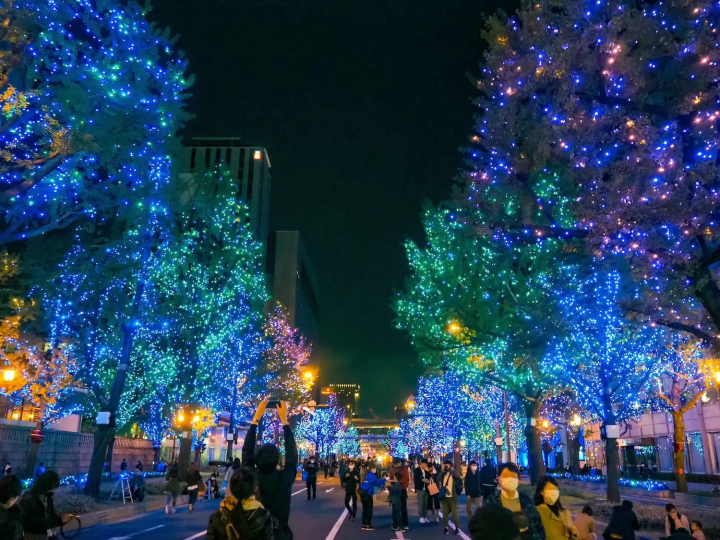 【2023-2024 오사카】겨울에 가고 싶은 일루미네이션 & 야경 명소 5선