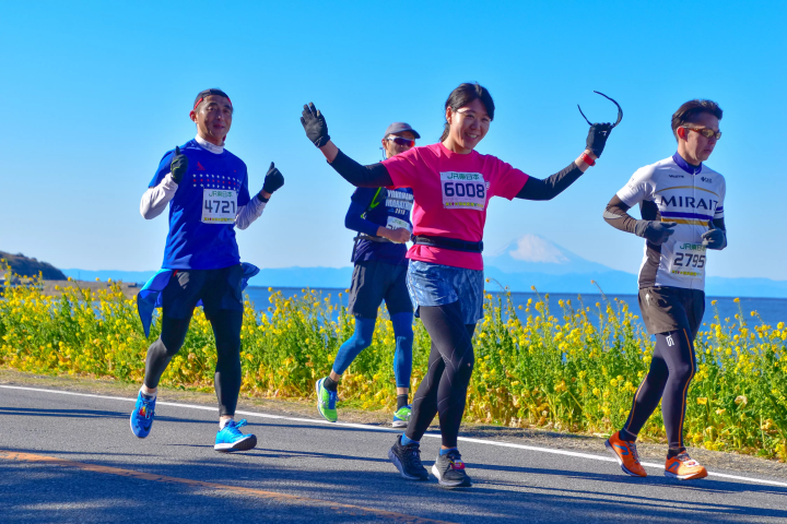 [Tateyama City, Tateyama Prefecture] Annual Event Calendar