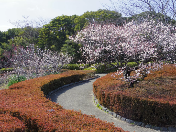 [Tateyama City, Tateyama Prefecture] Annual Event Calendar