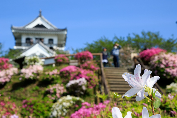[Tateyama City, Tateyama Prefecture] Annual Event Calendar