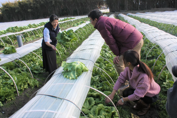 [Tateyama City, Tateyama Prefecture] Annual Event Calendar