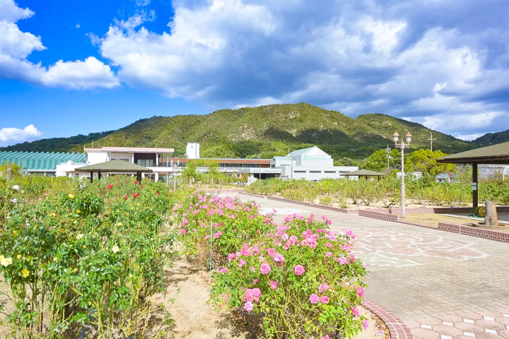 ปั่นจักรยานจาก “GLAMPROOK Shimanami”! ขอแนะนำไฮไลท์ของชิมานามิไคโด