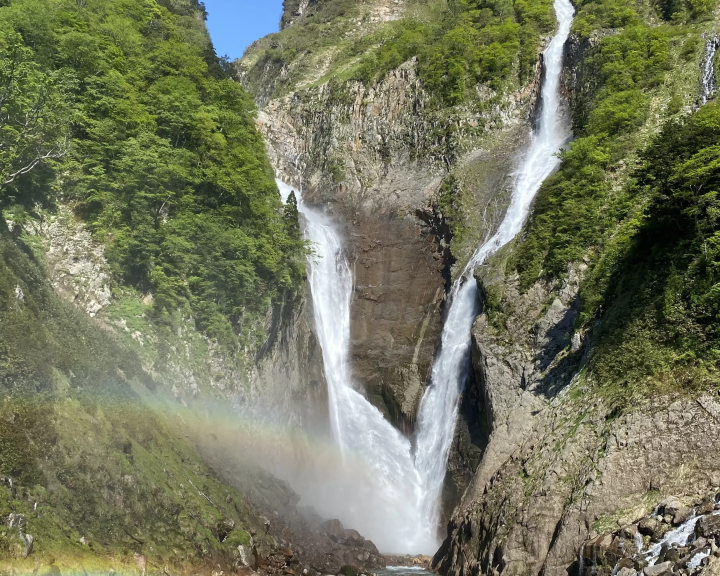 เจ้าหน้าที่ศูนย์ข้อมูลการท่องเที่ยวแนะนำอย่างจริงจัง! 4 สถานที่ที่คุณต้องดูเมื่อมาทาเตยามะ!