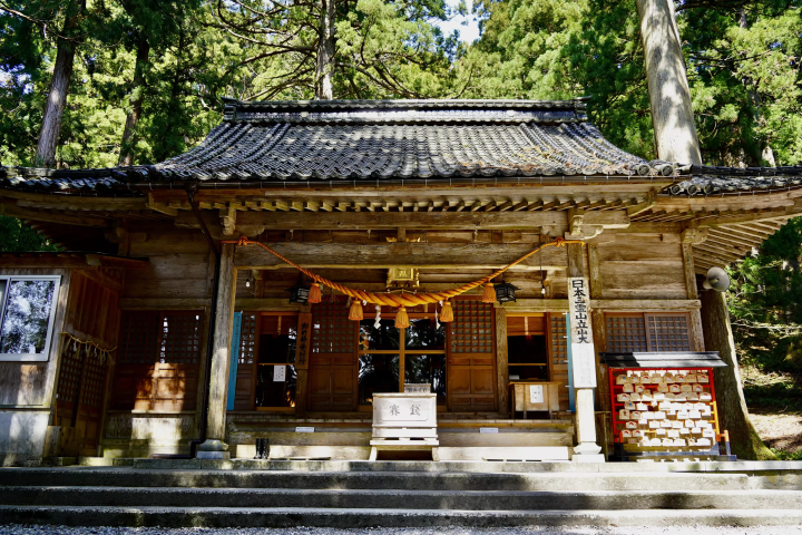 เจ้าหน้าที่ศูนย์ข้อมูลการท่องเที่ยวแนะนำอย่างจริงจัง! 4 สถานที่ที่คุณต้องดูเมื่อมาทาเตยามะ!