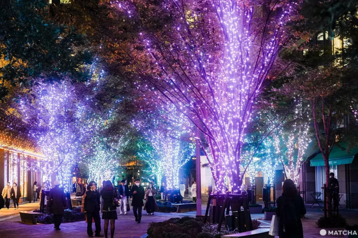 Winter Illuminations in Tokyo