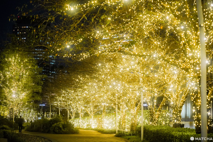 六本木聖誕燈飾「MIDTOWN CHRISTMAS 2023」