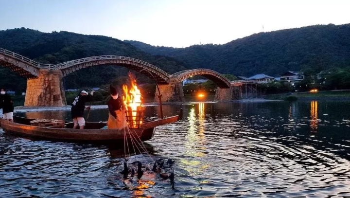 [山口县岩国市] 创业350年！介绍根据季节欣赏日本三大木桥之一锦带桥的方法。