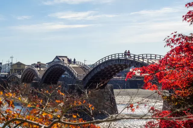 [山口县岩国市] 创业350年！介绍根据季节欣赏日本三大木桥之一锦带桥的方法。