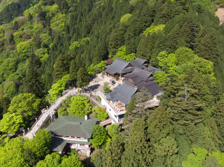 [2023]从新宿出发60分钟体验日本之秋！ “秋季大山红叶点灯” 11月18日～26日