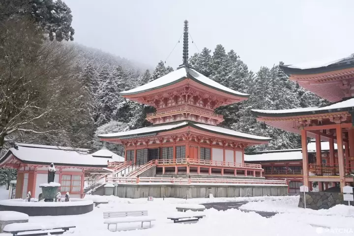 Buddhist History, Traditional Food, And Relaxation In The Kyoto Mountains: Day Trip Hieizan
