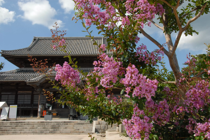 【山口県防府市】博多・広島駅から約1時間！2,000年の歴史が息づく防府の観光スポット4選