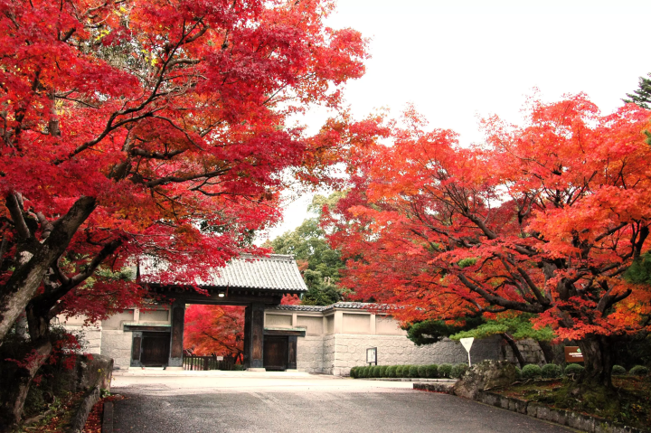 【山口県防府市】博多・広島駅から約1時間！2,000年の歴史が息づく防府の観光スポット4選