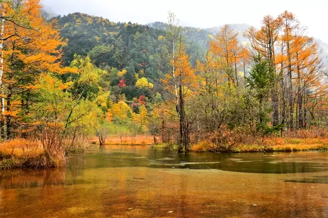 [长野/上高地/观光]日本最美的山区景点之一，可以轻松欣赏北阿尔卑斯山的著名山峰