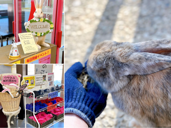 【台湾编辑kuma的金泽散步】在『月兔之乡』与招来好运的兔子互动，享受治愈时光吧。
