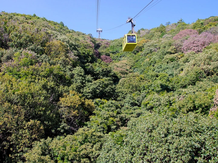 [Himeji City] "Shoshazan Engyoji Temple" is a beautiful spot with autumn leaves and fresh greenery that can be easily reached by ropeway
