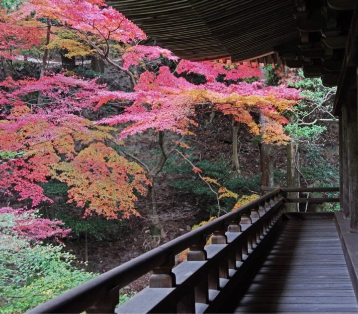 (Photo provided by Shoshazan Engyoji Temple) 