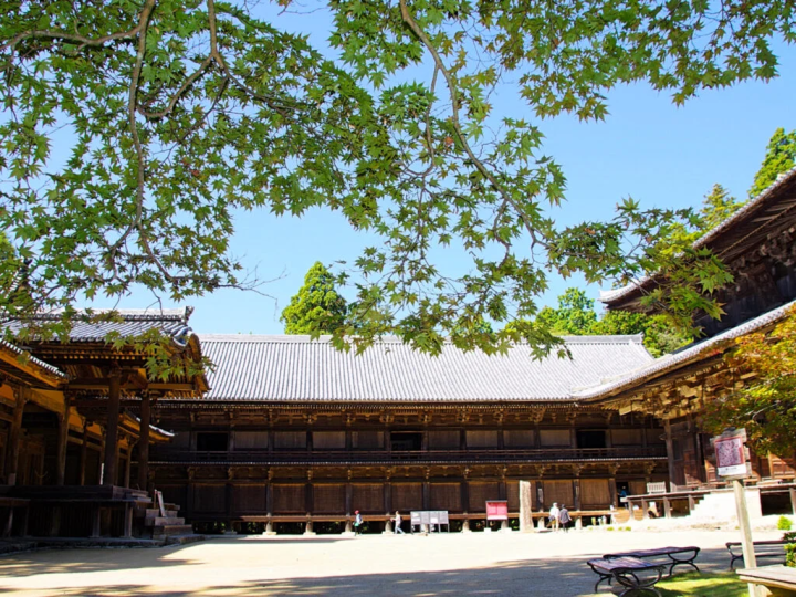 Photo taken on October 16, 2023. The maples are still green, but I can't wait for the autumn leaves to appear. 