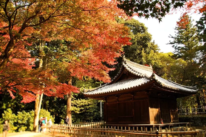 Photographed in 2007. Kongo-do Hall 