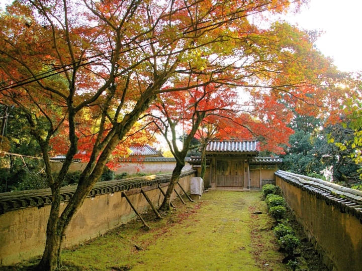 In front of Zuikoin temple gate. Photographed in 2007 